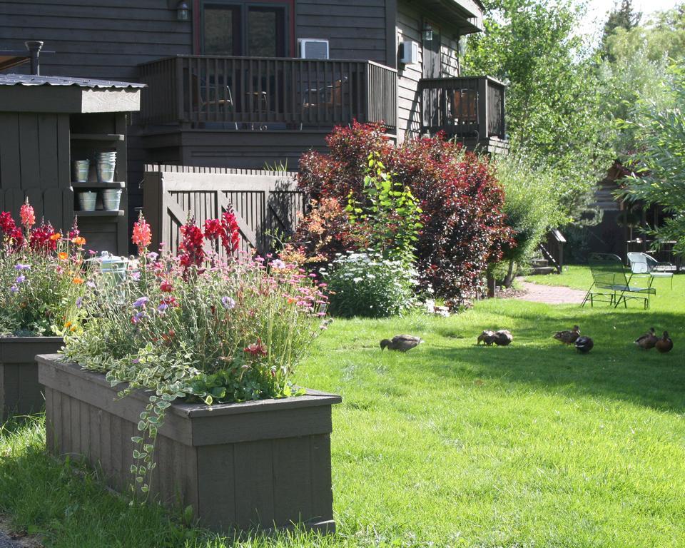 Inn On The Creek Jackson Exterior foto